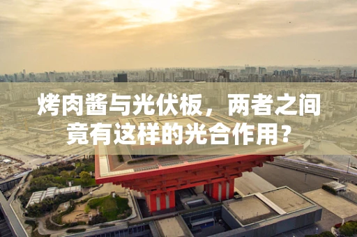 烤肉酱与光伏板，两者之间竟有这样的光合作用？