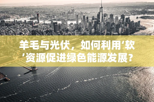 羊毛与光伏，如何利用‘软’资源促进绿色能源发展？