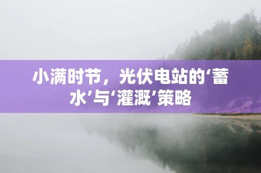 小满时节，光伏电站的‘蓄水’与‘灌溉’策略
