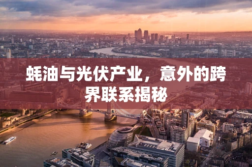 蚝油与光伏产业，意外的跨界联系揭秘