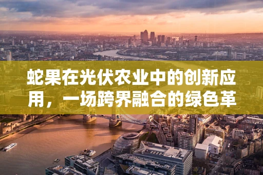 蛇果在光伏农业中的创新应用，一场跨界融合的绿色革命？
