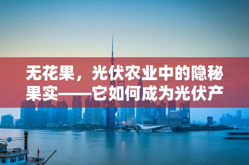 无花果，光伏农业中的隐秘果实——它如何成为光伏产业与农业融合的奇妙之选？