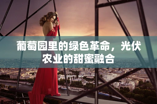 葡萄园里的绿色革命，光伏农业的甜蜜融合