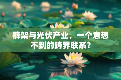 裤架与光伏产业，一个意想不到的跨界联系？