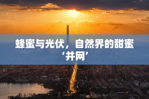 蜂蜜与光伏，自然界的甜蜜‘并网’