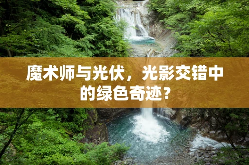 魔术师与光伏，光影交错中的绿色奇迹？