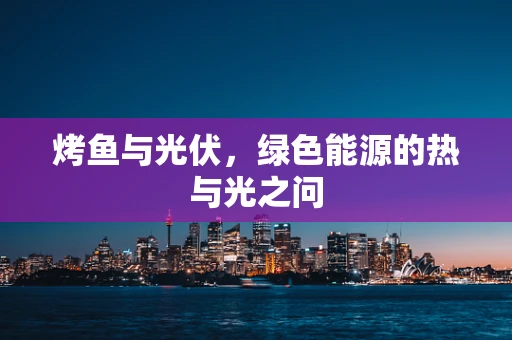 烤鱼与光伏，绿色能源的热与光之问