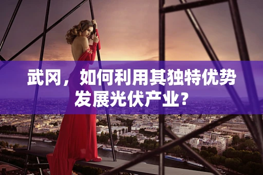 武冈，如何利用其独特优势发展光伏产业？