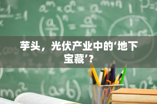芋头，光伏产业中的‘地下宝藏’？