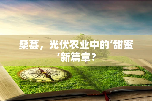 桑葚，光伏农业中的‘甜蜜’新篇章？