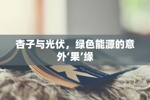 杏子与光伏，绿色能源的意外‘果’缘