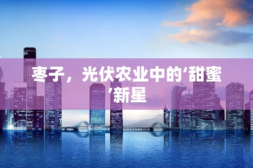 枣子，光伏农业中的‘甜蜜’新星