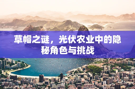草帽之谜，光伏农业中的隐秘角色与挑战