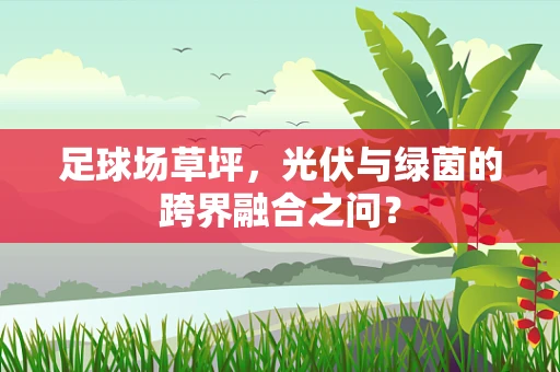 足球场草坪，光伏与绿茵的跨界融合之问？