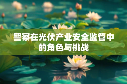 警察在光伏产业安全监管中的角色与挑战