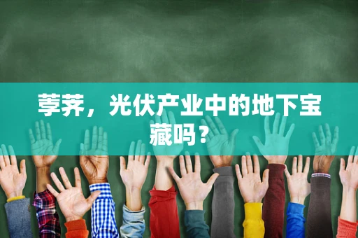 荸荠，光伏产业中的地下宝藏吗？