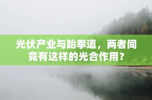 光伏产业与跆拳道，两者间竟有这样的光合作用？