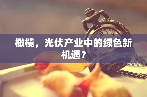 橄榄，光伏产业中的绿色新机遇？