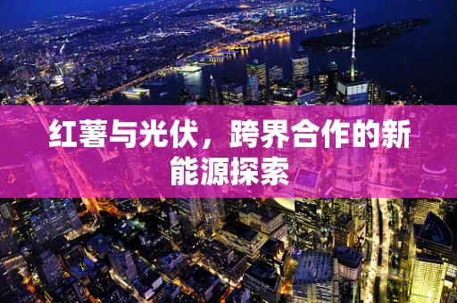 红薯与光伏，跨界合作的新能源探索