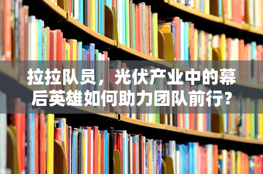 拉拉队员，光伏产业中的幕后英雄如何助力团队前行？