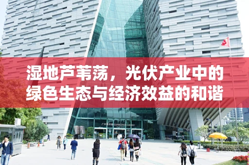 湿地芦苇荡，光伏产业中的绿色生态与经济效益的和谐共生？