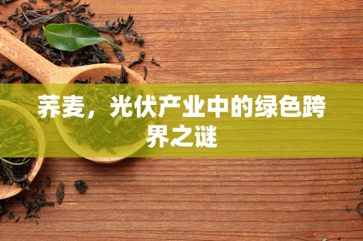 荞麦，光伏产业中的绿色跨界之谜