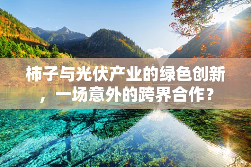 柿子与光伏产业的绿色创新，一场意外的跨界合作？