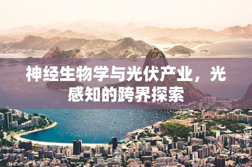 神经生物学与光伏产业，光感知的跨界探索