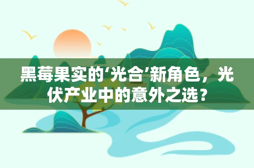 黑莓果实的‘光合’新角色，光伏产业中的意外之选？
