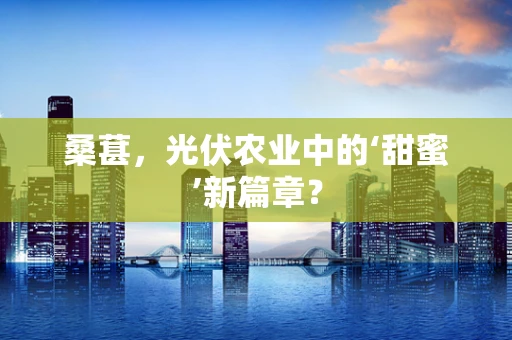 桑葚，光伏农业中的‘甜蜜’新篇章？