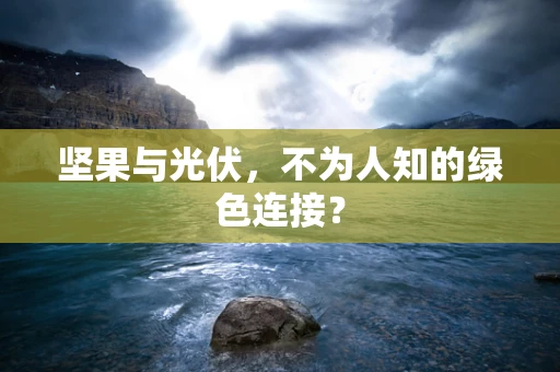 坚果与光伏，不为人知的绿色连接？
