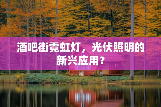 酒吧街霓虹灯，光伏照明的新兴应用？