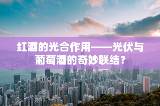 红酒的光合作用——光伏与葡萄酒的奇妙联结？