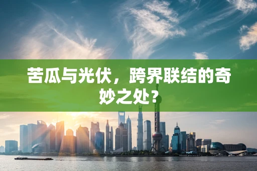 苦瓜与光伏，跨界联结的奇妙之处？