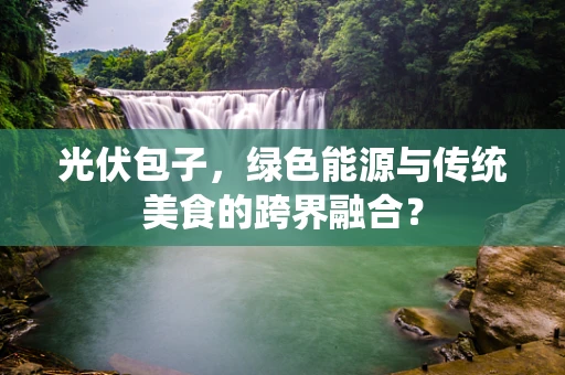 光伏包子，绿色能源与传统美食的跨界融合？
