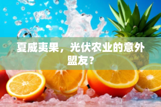 夏威夷果，光伏农业的意外盟友？