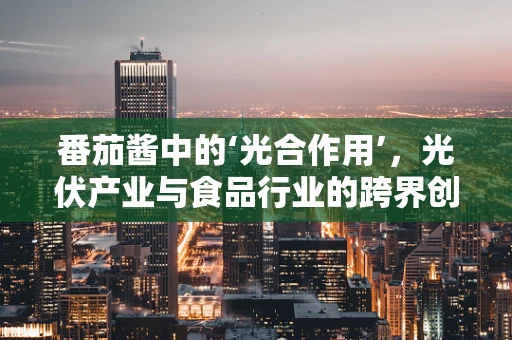 番茄酱中的‘光合作用’，光伏产业与食品行业的跨界创新？