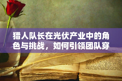 猎人队长在光伏产业中的角色与挑战，如何引领团队穿越光之迷雾？