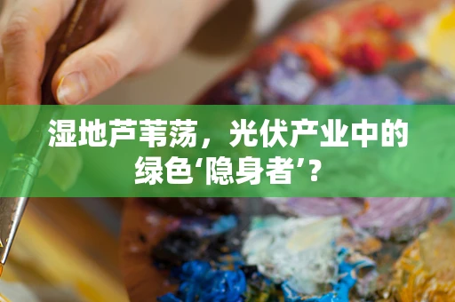 湿地芦苇荡，光伏产业中的绿色‘隐身者’？