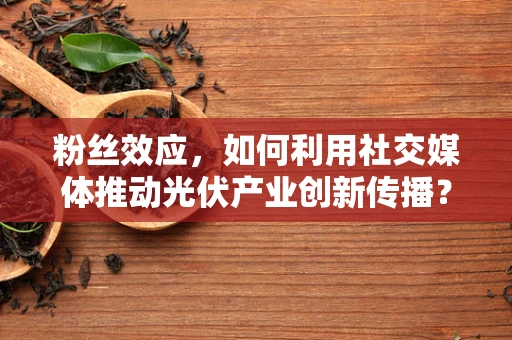 粉丝效应，如何利用社交媒体推动光伏产业创新传播？