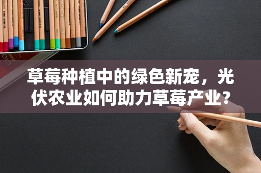 草莓种植中的绿色新宠，光伏农业如何助力草莓产业？