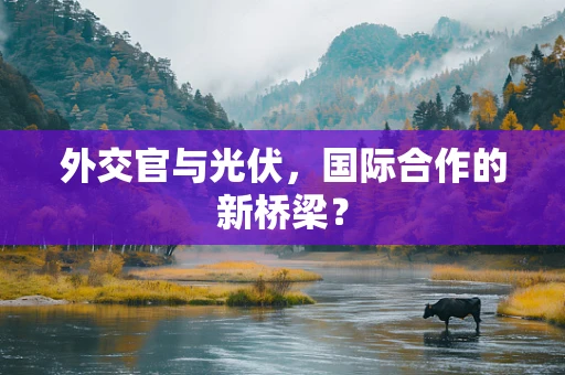 外交官与光伏，国际合作的新桥梁？