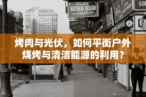 烤肉与光伏，如何平衡户外烧烤与清洁能源的利用？
