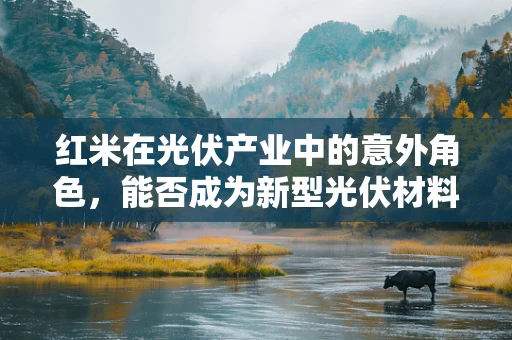 红米在光伏产业中的意外角色，能否成为新型光伏材料的黑马？