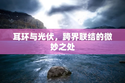 耳环与光伏，跨界联结的微妙之处