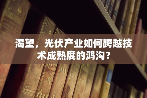 渴望，光伏产业如何跨越技术成熟度的鸿沟？