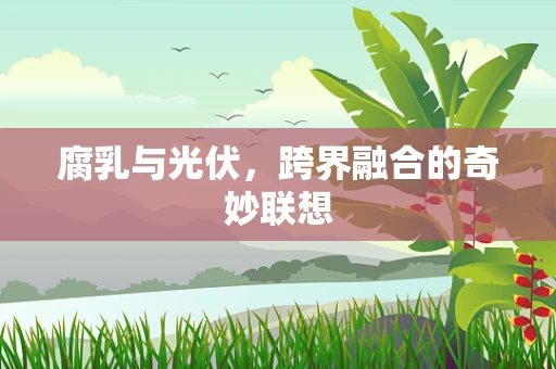 腐乳与光伏，跨界融合的奇妙联想