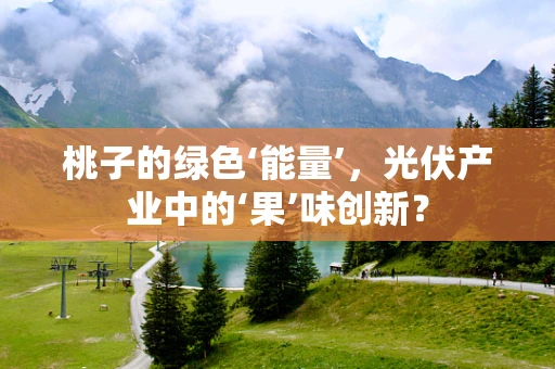 桃子的绿色‘能量’，光伏产业中的‘果’味创新？