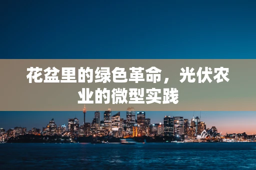 花盆里的绿色革命，光伏农业的微型实践