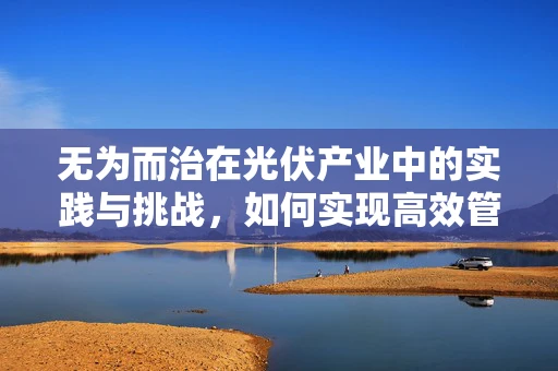 无为而治在光伏产业中的实践与挑战，如何实现高效管理而不干预过多？
